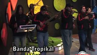 BANDA TROPIKAL  la yuca  pobre graciliano [upl. by Calla]