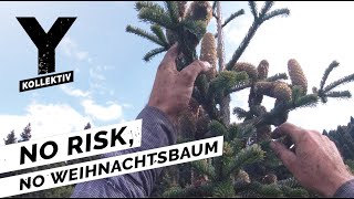 Menschen klettern auf 40 Meter hohe Tannen für unsere Weihnachtsbäume [upl. by Schiro460]