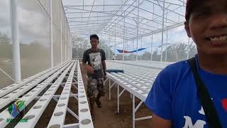 Progress on Construction of Hydroponics Greenhouse at Vigan [upl. by Atikal484]