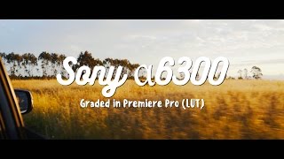 Sony a6300 Video  Graded in Premiere Pro LUT [upl. by Miarfe]