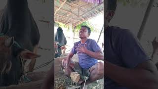 Sen doy sutina yedo doy getic mohla sota short video [upl. by Ainyt]