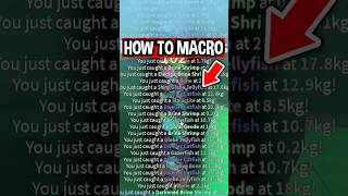 How To MACRO in Roblox Fisch [upl. by Now]