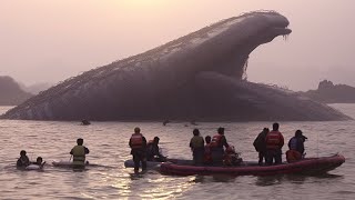 20 Times Megalodon Caught on Camera amp Spotted In Real Life [upl. by Pardner]