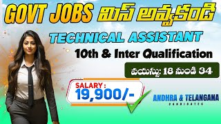 Technical Assistant Job Notification Release10amp Inter Qualification Apply [upl. by Ayhdiv486]