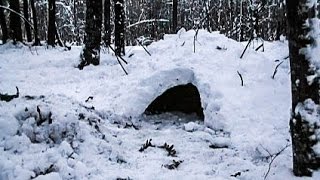 Primitive Bushcraft  Quinzee Survival Shelter  Self Reliance [upl. by Ennail956]