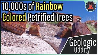 The Geologic Oddity in Arizona Petrified Forest National Park [upl. by Algernon]