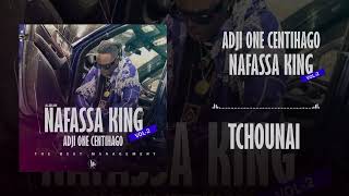 06 FATÔ DIAMATIGUI  TCHOUNAI  ALBUM 💿 NAFASSA KING  2024 [upl. by Atrice939]