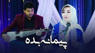 Paimana Bede Afghani Music  New Year Special Show Hazara Town Quetta 2024 [upl. by Anneyehc]