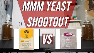 Yeast Shootout Lalvin EC1118 vs Mangrove Jacks Mead Yeast [upl. by Alekram]