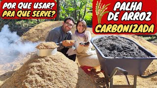 ✅O Poder da Casca de Arroz Carbonizada [upl. by Alurd184]