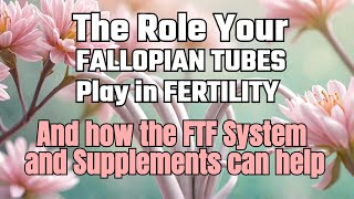 The Role your Fallopian Tubes Play in Fertility [upl. by Ynolem759]