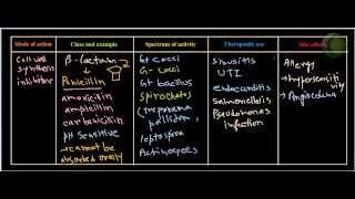 Penicillin antibiotics [upl. by Mattland607]