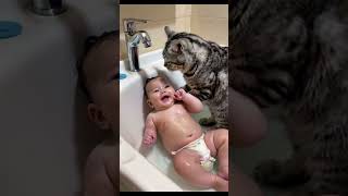 CAT Baths Baby Adorable Home Video Purrfect Bath  Cat and Baby Unlikely Bath Time  Cat and Baby [upl. by Klayman]