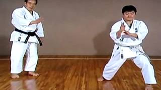 Bassai Dai Kata Bunkai ISKF Kanazawa Sensei [upl. by Rochell]