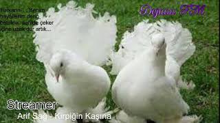 Dejavu🕊 FM • Canlı İstek Yayını  Online Radyo Dinle [upl. by Shanon121]