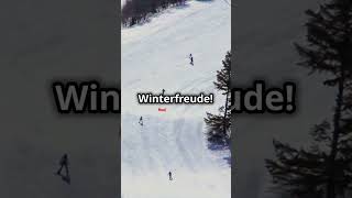 Die besten Skigebiete der Alpen shorts mountains alp snowboarding erklärt facts travel [upl. by Joslyn893]