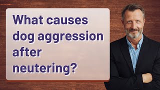 What causes dog aggression after neutering [upl. by Allesiram]