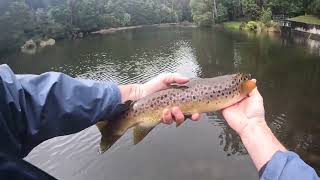 Exploring the Otways for Trout in some nasty Spring weather 32 [upl. by Swirsky]