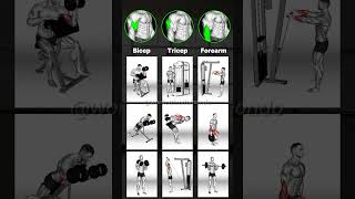 Get Bigger Arms Best Targeted Arm Workouts for Massive Gains [upl. by Ayidan36]