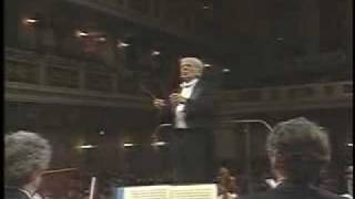 Beethoven 9ª Sinfonía  Bernstein 1989 34  Subtitulando [upl. by Tiana951]