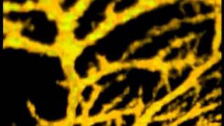 Human Brain Video Learn about Brain Cells Neurons and How the Brain Works [upl. by Lotsirhc797]