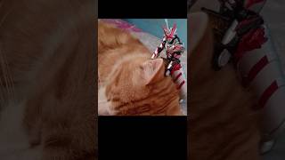 DRACONIC SWORD SODO KAMEN RIDER SABER Ft cat [upl. by Sineray226]