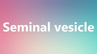 Seminal vesicle  Medical Meaning and Pronunciation [upl. by Gorlicki]