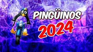 Pingüinos 2024  La MAYOR concentración MOTERA del MUNDO [upl. by Rodrick]