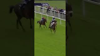 Vauban impressively lands the Lonsdale Cup horse horseracing racingtv sport britishhorseracing [upl. by Kelcey]