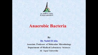 Chapter 12 Part I Anaerobic bacteria [upl. by Angela]