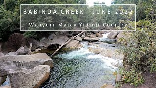 Babinda Creek June 2022 [upl. by Ahsiryt545]