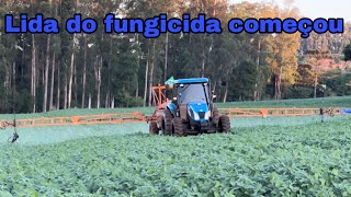 FUNGICIDA NO SOJA 2425 [upl. by Atilehs]