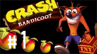 BRAMARE il 100  CRASH BANDICOOT 1 [upl. by Cherri]