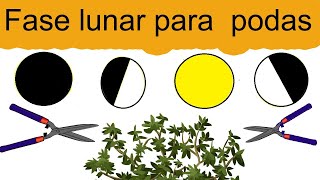 Fases lunares para podar  En que fase de la luna se puede podar 🌙 [upl. by Alegnat442]