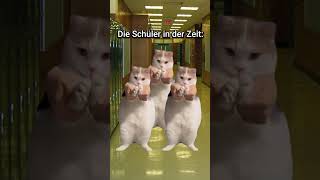 😅POV Der Lehrer ist zu spät Aus Sicht des Lehrers katzenvideos lustig katze cat schule [upl. by Harl492]