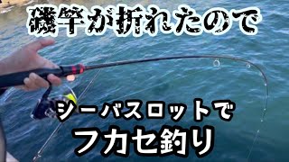 【豊浜釣り桟橋】磯竿が折れたからシーバスロッドでフカセ釣り！ [upl. by Peoples]