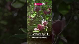 Romanos 1411 Versículo de La Biblia [upl. by Omor328]