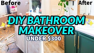 DIY BATHROOM MAKEOVER ON A BUDGET  BATHROOM REMODEL UNDER 300  EXTREME BATHROOM TRANSFORMATION [upl. by Enej]