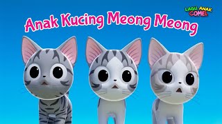 Si Meong Kucing Lucu  Funny Cats and Kittens Meowing [upl. by Sirob]