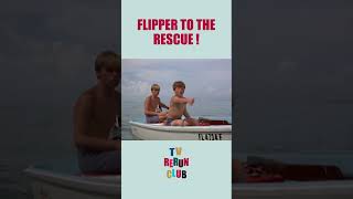 Flipper saves Ranger Rick after an explosion 😱 Flipper shorts [upl. by Adlih]