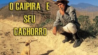 Piada  O caipira e seu cachorro [upl. by Nace]