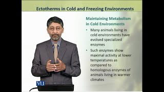 Ectotherms in Cold amp Freezing Environments  Animal Physiology amp Behavior Theory  ZOO502TTopic220 [upl. by Ainoek331]