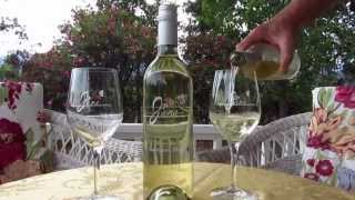 Best White Wine of Napa Valley Jana Sauvignon Blanc [upl. by Aihsekel]