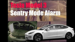 Tesla Model 3 Sentry Alarm Demo  Parking Garage Mishap [upl. by Fasano570]