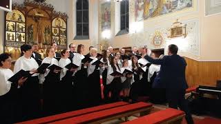 Cecyliada 2018  Nowogród  Natalis Mariae  Ave Maria [upl. by Huberman942]