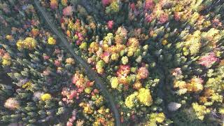 Fall foliage 2023 DJI in Western Newfoundland raw 4K  part 3 [upl. by Burrows]