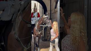 Charming Horses Flirtatious Reaction to Lady Touristquot Shorts [upl. by Nilsoj]