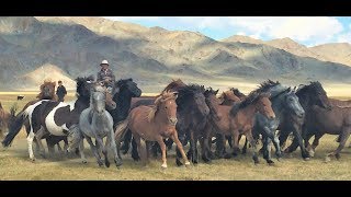 Mongolia Altai Mountains Trip August 2017 [upl. by Fredelia]