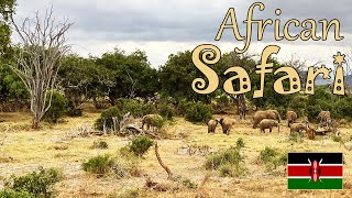 African safari at Voi Wildlife Lodge Kenya 🐘🦒🇰🇪 [upl. by Enahsal]