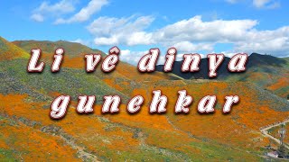 Li Vê Dinya Gunehkar  Feyzo Mîrzoyan [upl. by Kermy176]